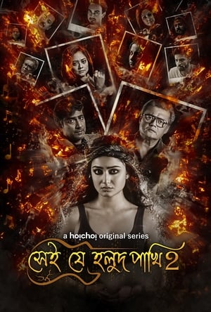 Vaidehi (Shei Je Holud Pakh) S01 2018 Hindi Web Series