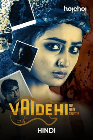 Vaidehi (Shei Je Holud Pakh) S02 2021 Hindi Web Series