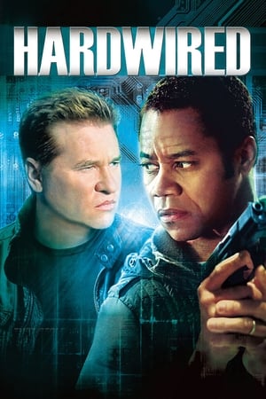 Hardwired 2009 dual Audio
