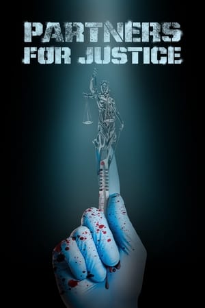 Partners for Justice S01 2020 Hindi Dubbed Web Series