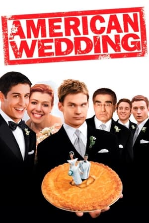 American Wedding 2003 Dual Audio