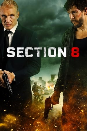 Section 8 2022 BRRip