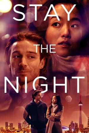Stay The Night 2022 BRRip