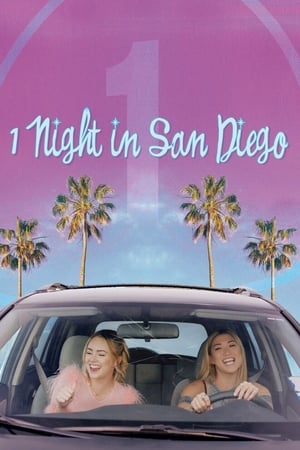 1 Night In San Diego 2020 BRRip