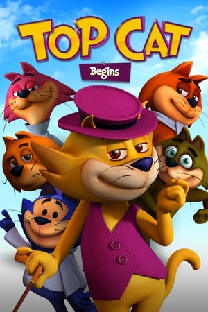 Top Cat Begins 2015