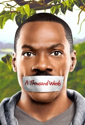 A Thousand Words 2012 Dual Audio